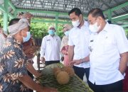 Ada Festival Durian di Lombok Utara