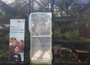 Rumah Bibit Herbal di Sumbawa Hadir untuk Sukseskan Kampung Sehat 2