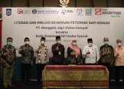 Ada KUR dan Kemitraan Bagi Peternak Sapi