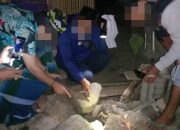 Miliki Sabu-sabu, Pria ini Ditangkap Sat Resnarkoba Polres Loteng