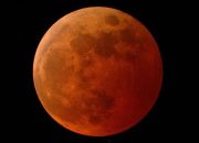 Niat dan Tata Cara Sholat  Gerhana Bulan “Super Flower Blood Moon”