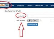 Cara Daftar Antrian/Reservasi BPUM BRI