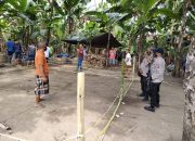 PPKM Bukan Penghalang Judi Sabung Ayam di Lombok