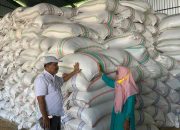 Harga Gabah Anjlok, Johan Desak Pemerintah Lakukan Intervensi saat Pandemi