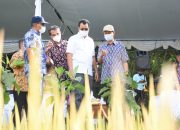 Gubernur NTB Berharap Metode Tanam Padi sistem SRI dan Jarwo, Tingkatkan Produksi Petani