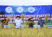 Gubernur Minta ASN Bela Petani Beli Produk Lokal