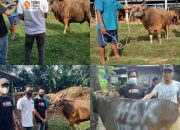 HBK PEDULI Salurkan Bantuan Sembako dan Hewan Qurban
