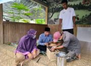 UMKM Banuwara Bersatu Sukses Budidaya Maadu Trigona