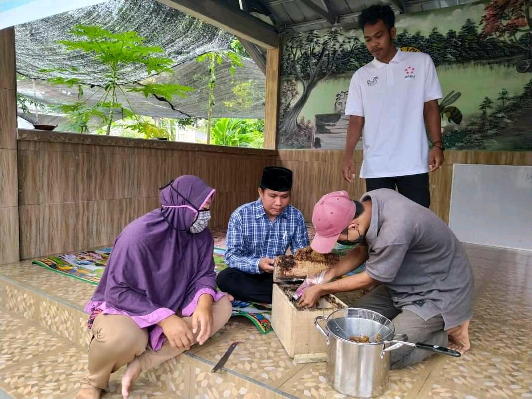 UMKM Banuwara Bersatu Sukses Budidaya Maadu Trigona