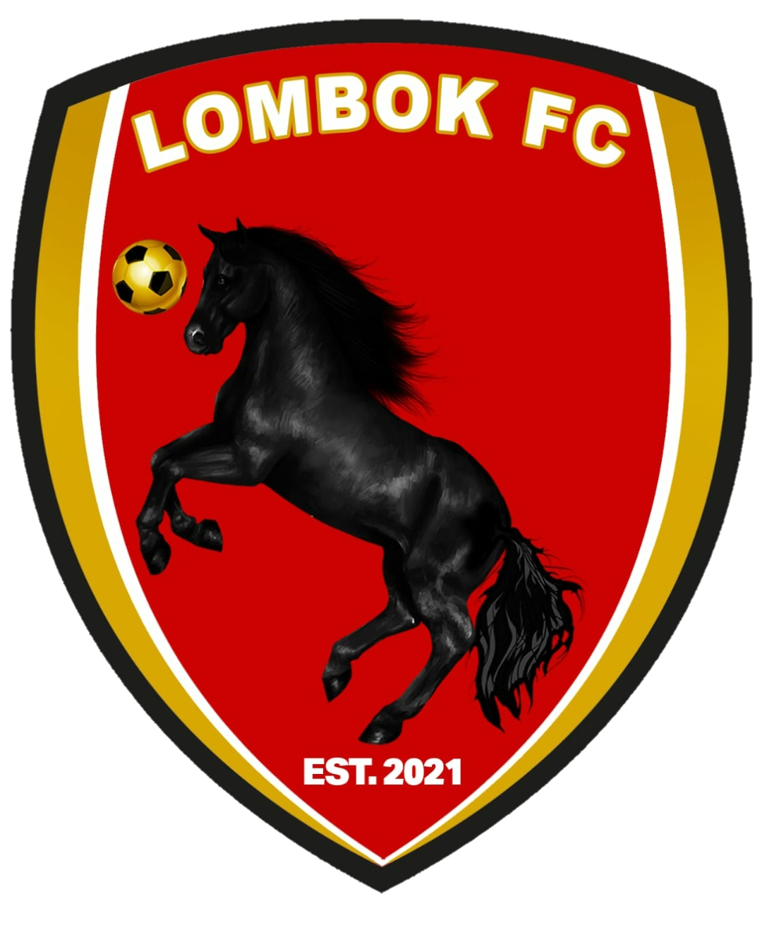 LFC (Logo Lombok Football Club) Nusa Tenggara Barat
