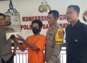 Embat Burung Kecial, Tukang Ojek Pangkalan Dicokok Polisi