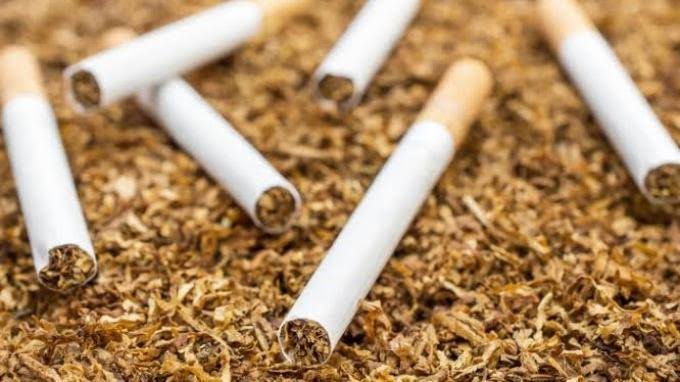 10 Jenis Rokok Beserta Kelebihannya, Cara Pembuatannya, dan Jenis Tembakau yang Digunakan