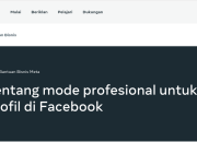 Facebook Pro: Manfaat, Fitur, dan Cara Menggunakannya Secara Efektif