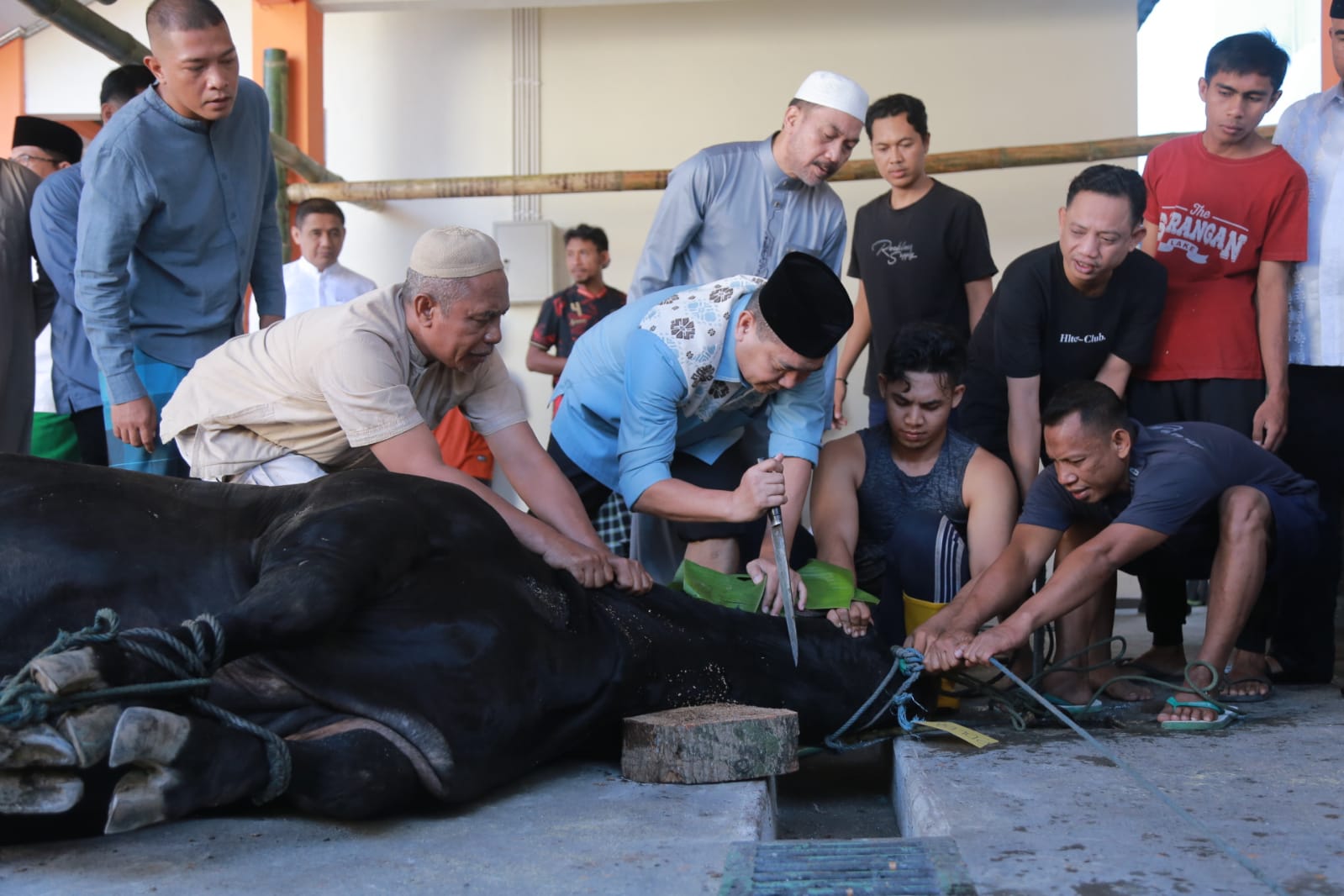 Polda NTB dan Polres Jajaran Sembelih Ratusan Hewan Kurban