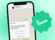 Ini Fitur Terbaru Whatsapp, Bisa Centang Biru