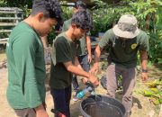 Mahasiswa KKN  PMD UNRAM Sukses Transformasi Pertanian di Desa Aik Bukaq dengan Inovasi Pupuk Kompos