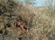 Petani di Lombok Tengah Tewas Terbakar Saat Padamkan Api di Gunung Nandus