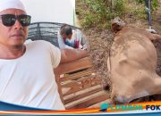 Ternak Mati Akibat Krisis Air, Warga Desak Bupati Jangan Diam Saja