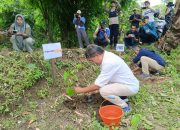 Hijaukan Lombok Tengah, FWLT Tanam Ribuan Pohon di Selong Belanak