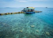 PT. Autore Pearl Culture Bantah Kadislutkan NTB, Beroperasi Sesuai RT/RW