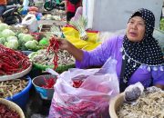 Cabai di Lombok Tengah Makin Pedas, Harga Tembus Rp100 Ribu per Kg