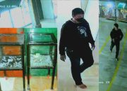 Kotak Amal Masjid Sakra di Bobol, Pelaku Berhasil Raup Jutaan Rupiah