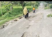 Warga Resah, Jalan Rusak di Mertak Tombok Jadi Titik Rawan Kecelakaan