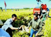 Gelar Panen Raya Padi, Bupati Lotim Ajukan Penambahan Alsintan ke Pemerintah Pusat