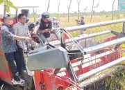 Panen Raya di Teruwai, Lombok Tengah Mantapkan Posisi sebagai Lumbung Pangan Nasional