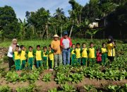 Dari Ilalang ke Piring Bergizi: Kisah Sukses Desa Barabali Wujudkan Kemandirian Pangan