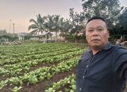 Pemdes Barabali Sulap Lahan Tak Produktif Jadi Sumber Ekonomi Baru Warga