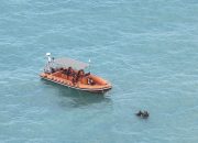Remaja Hilang di Pantai Ketapak Ditemukan Tak Bernyawa, Tim SAR Kerahkan Penyelam hingga Drone Thermal