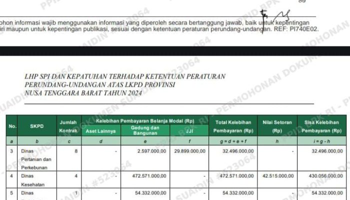 BPK Temukan Pembayaran Ganda dan Kerugian Daerah Rp1,3 Miliar pada Belanja Modal Pemprov NTB 2024