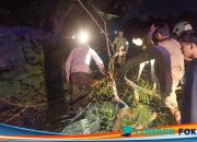 Polsek Narmada Sigap Evakuasi Pohon di Tengah Malam