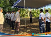 Polsek Lingsar Amankan Gerakan Nasional Penanaman Jagung Kuartal III di Karang Bayan
