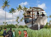 UPTD Peternakan Manggelewa Lakukan Monitoring Kesehatan Sapi dan Pengembangan Pakan di KTT Kilimani Bersinar