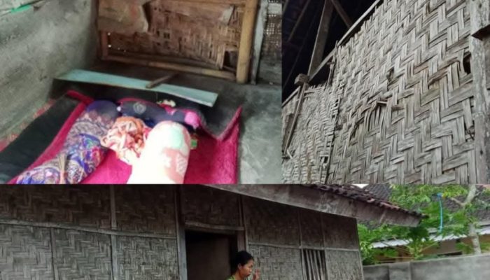 Kasus Ibu Wati Terabaikan: Bukti Dinsos Lombok Timur Belum Optimal