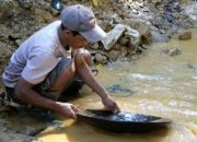 APRI NTB Pastikan IPR Sesuai Aturan, Koperasi Selonong Bukit Lestari Jadi Pilot Project