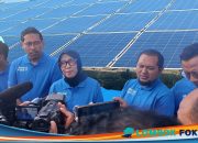 PLN UIW NTB Ajak Media “Menyala Bersama” dari PLTS Sengkol, Energi Bersih untuk Masa Depan