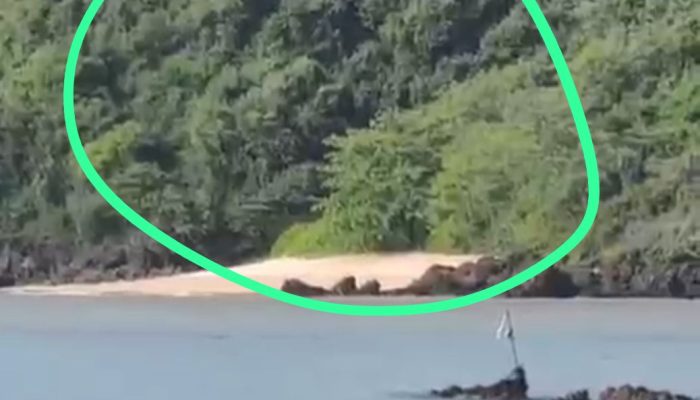 Tambang Emas Ilegal di Kuta Makan Korban, KNPI Lombok Tengah Desak Polisi Segera Tutup Lokasi