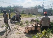Akses Jalan Sempat Terganggu Pohon Tumbang, Polisi Cepat Bertindak