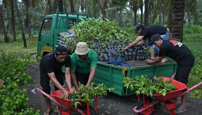 Milad ke-67 Sumbawa, Bank NTB Syariah Hadirkan Kado Berkelanjutan: Nursery Farm untuk Sumbawa Hijau Lestari