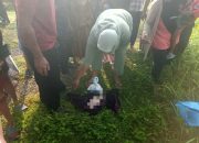 Warga Geger! Orok Bayi Laki-laki Ditemukan Terbungkus Plastik di Jalan Bypass Sengkol