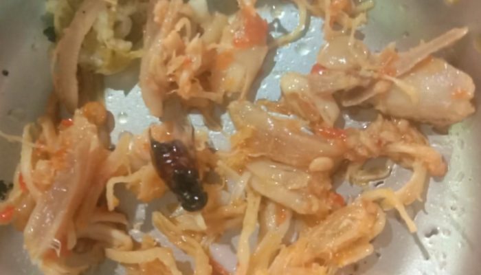 ‎Temukan Banyak Lalat di Ompreng, Seorang Guru Alami Keracunan Usai Makan Menu dari Dapur Yasim Jerowaru