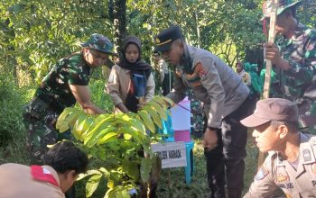 Kapolsek Narmada Hadiri Penanaman 500 Pohon di HUT Persit ke-80