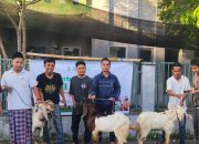 HMI Cabang Mataram Tebar Qurban Idul Adha 1447 H, Perkuat Kepedulian Sosial
