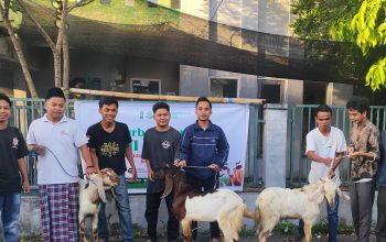 HMI Cabang Mataram Tebar Qurban Idul Adha 1447 H, Perkuat Kepedulian Sosial
