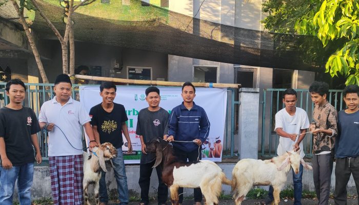 HMI Cabang Mataram Tebar Qurban Idul Adha 1447 H, Perkuat Kepedulian Sosial