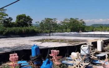 Kasus Tambak Udang Batang Jadi Pelajaran Penting Soal Legalitas Lingkungan