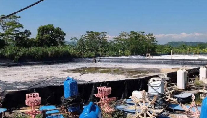 Kasus Tambak Udang Batang Jadi Pelajaran Penting Soal Legalitas Lingkungan